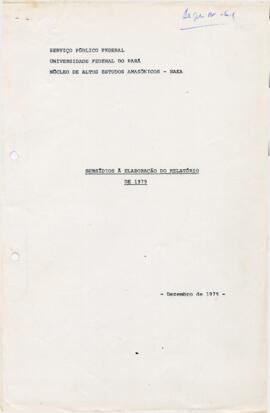 Relatório de atividades do NAEA : exercício de 1979
